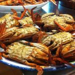 restaurante-el-coto-13